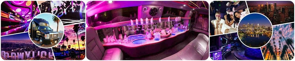 Promo limousine for your party