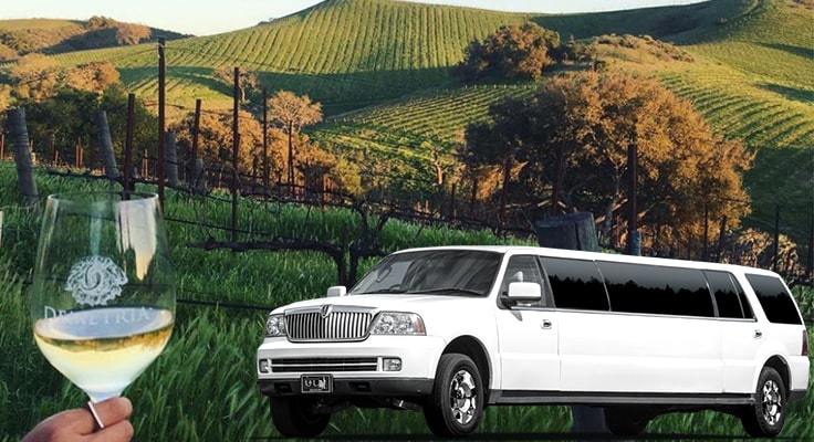 image is showing white limo and valley