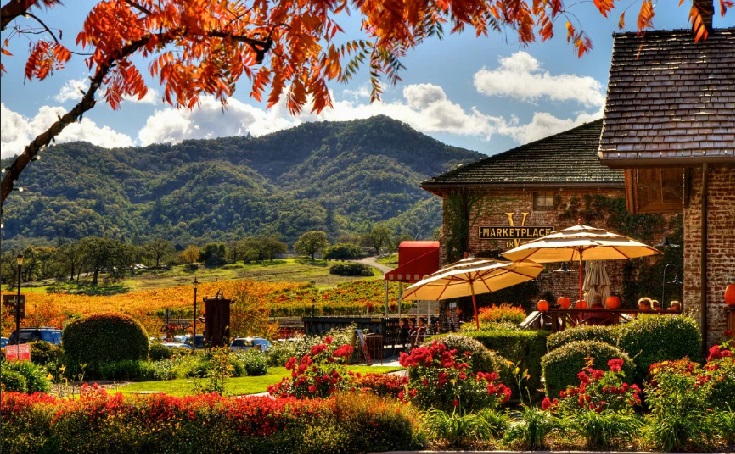 image is showing valley of vineyards in napa