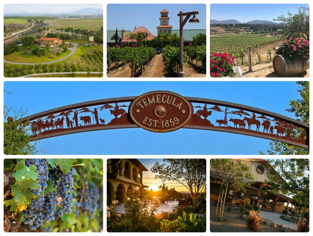 image is showing collage about valley of Temecula vineyards