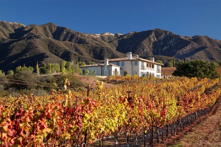 image is showing vineyard in Santa Barbara, California