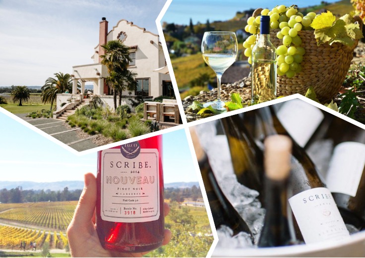 image is showing collage of bottles of wine in wineries of Sonoma, California