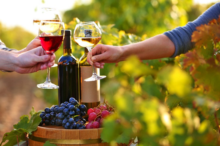 image is showing glasses of wine in Sonoma, California