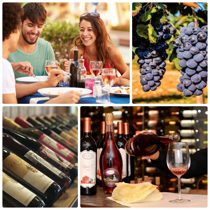 image is showing a collage about Temecula Wine Tours