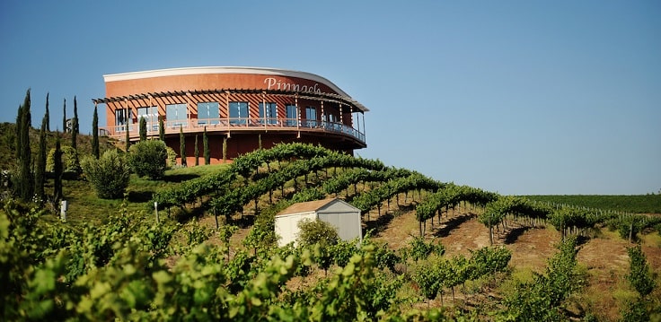 image is showing temecula vineyard view