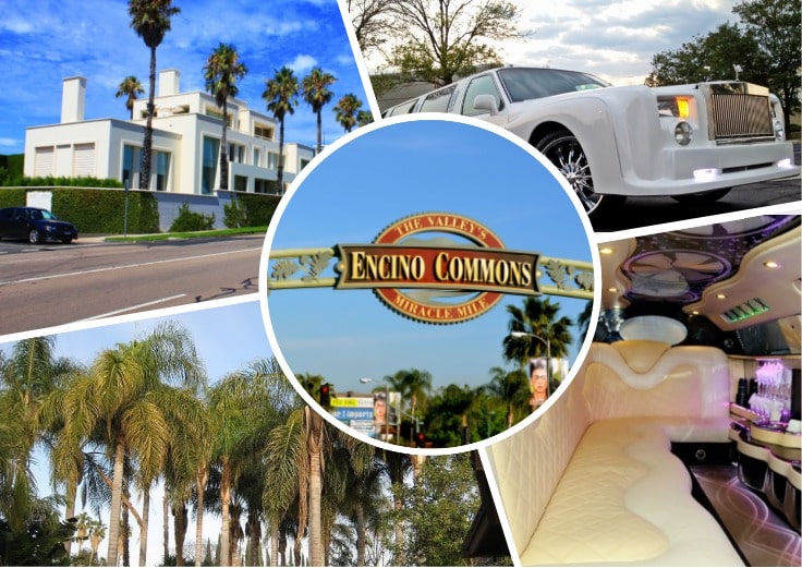 image is showing a collage about encino sign and white limo