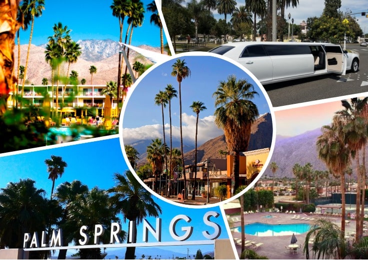 image is showing collage about palm springs views, palms and white limo