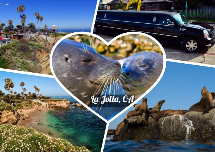 image is showing a collage about la jolla beach views, sea lions and black limo