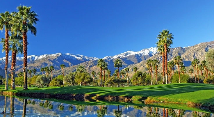 image is showing palm springs view